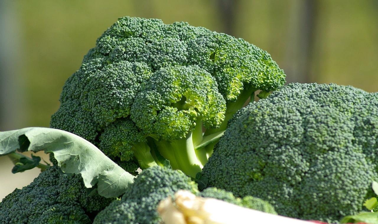 Le incredibili proprietà del broccolo siciliano: scopri i benefici di questo superfood - immagine di copertina
