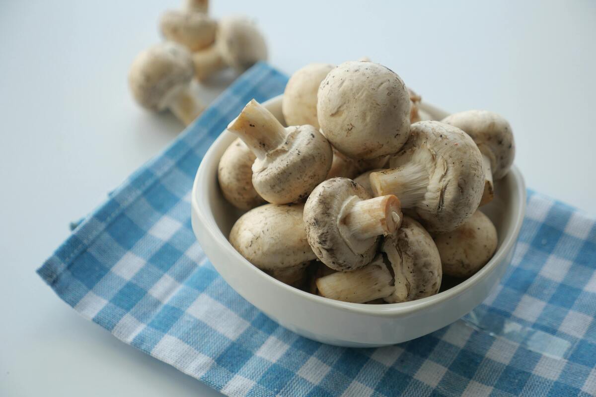 Semplici, ma buoni in tutte le salse: scopri come utilizzare i funghi champignon in cucina - immagine di copertina