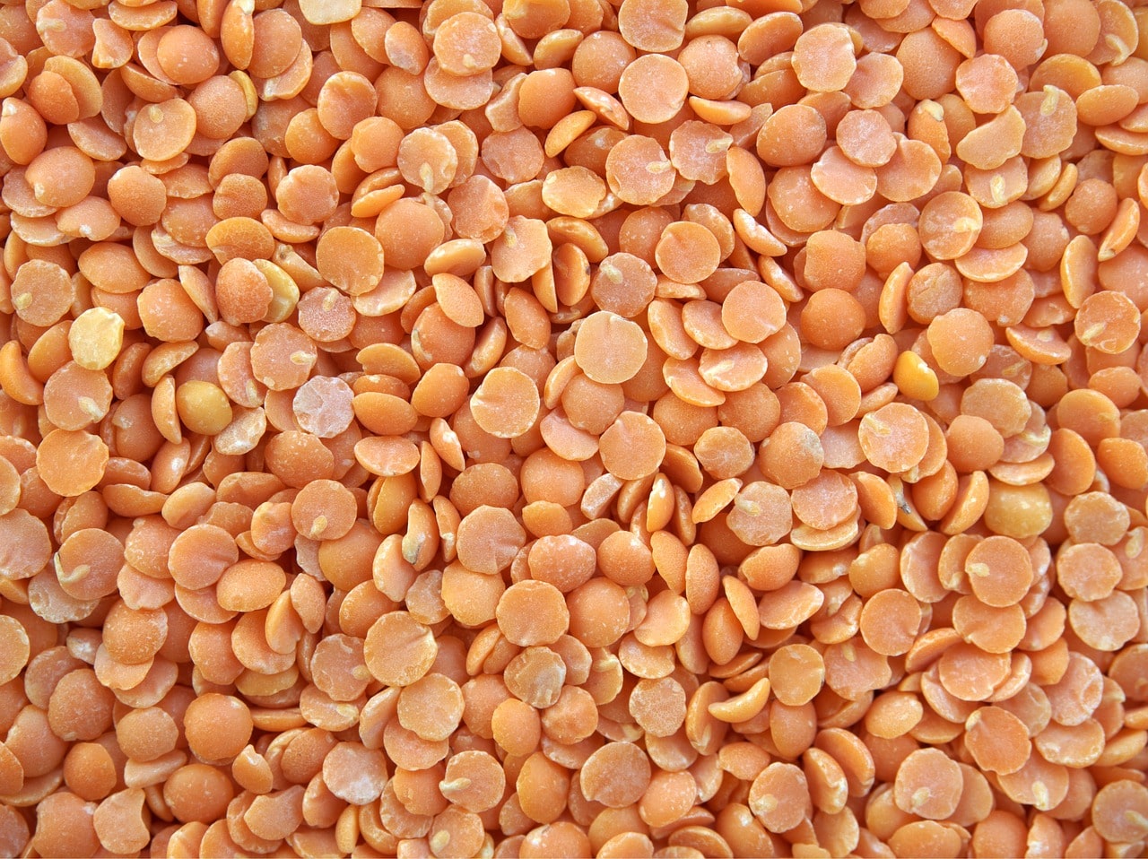 Scopri come usare le lenticchie decorticate in cucina: 6 ricette da provare - immagine di copertina