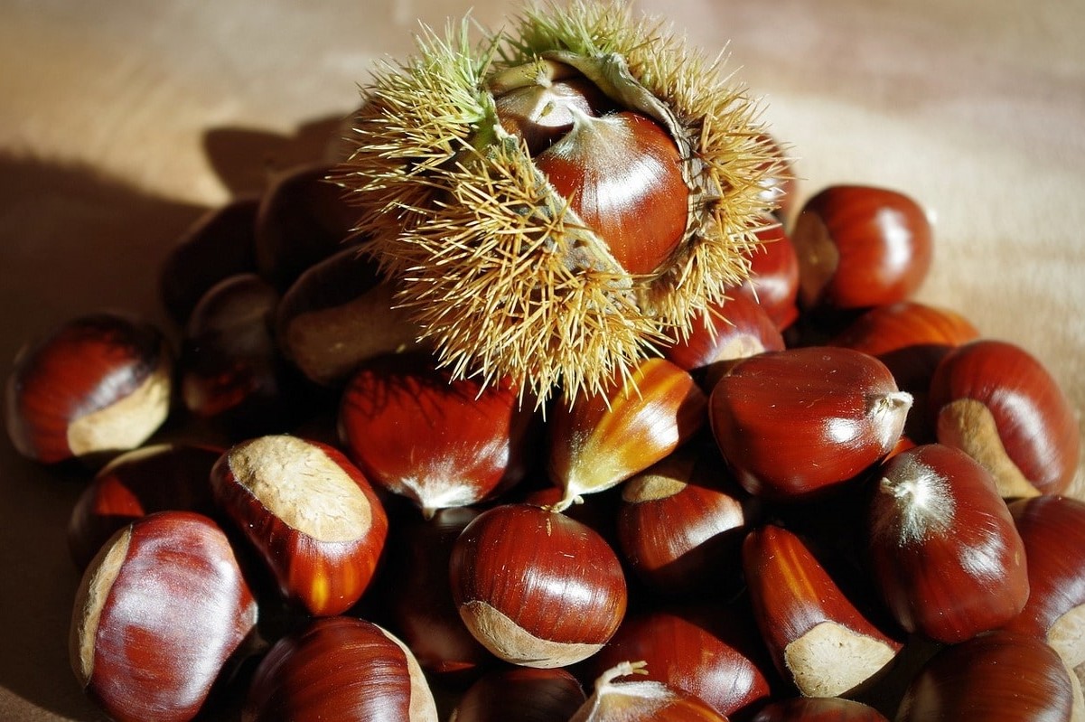 Castagna a chi? Scopri di più sui marroni, il superfood dell'autunno - immagine di copertina