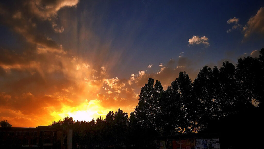 Sole in autunno