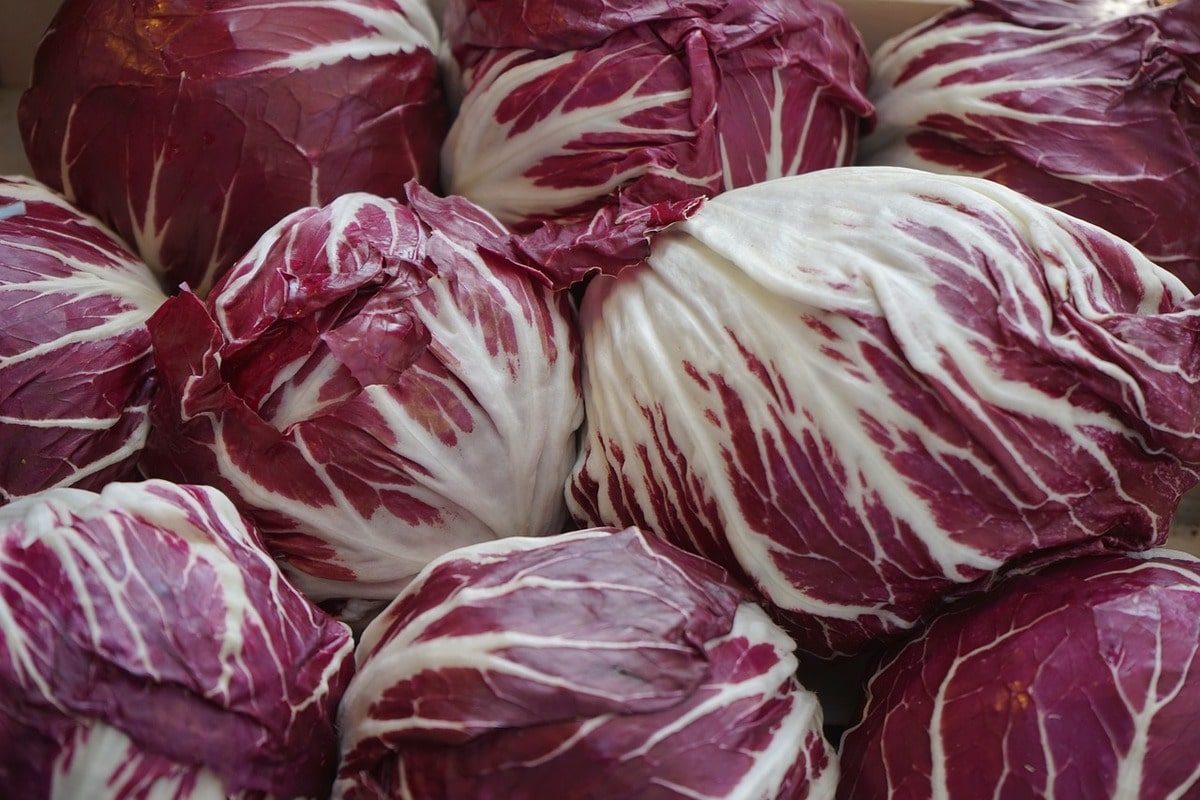 Trevigiana: il superfood che non ti aspetti. Scopri le proprietà e i benefici per la salute - immagine di copertina