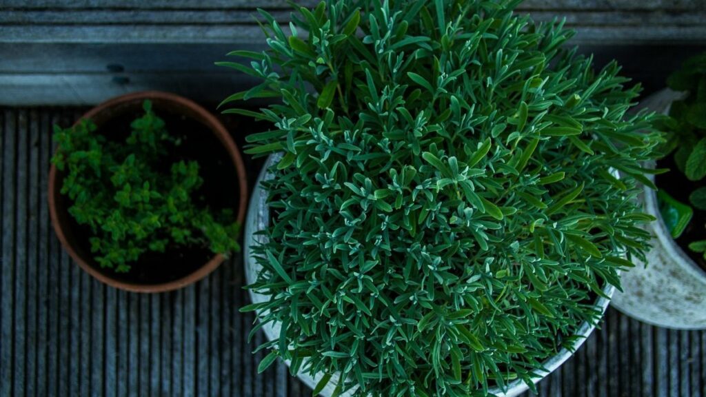 Angolo riparato sul terrazzo