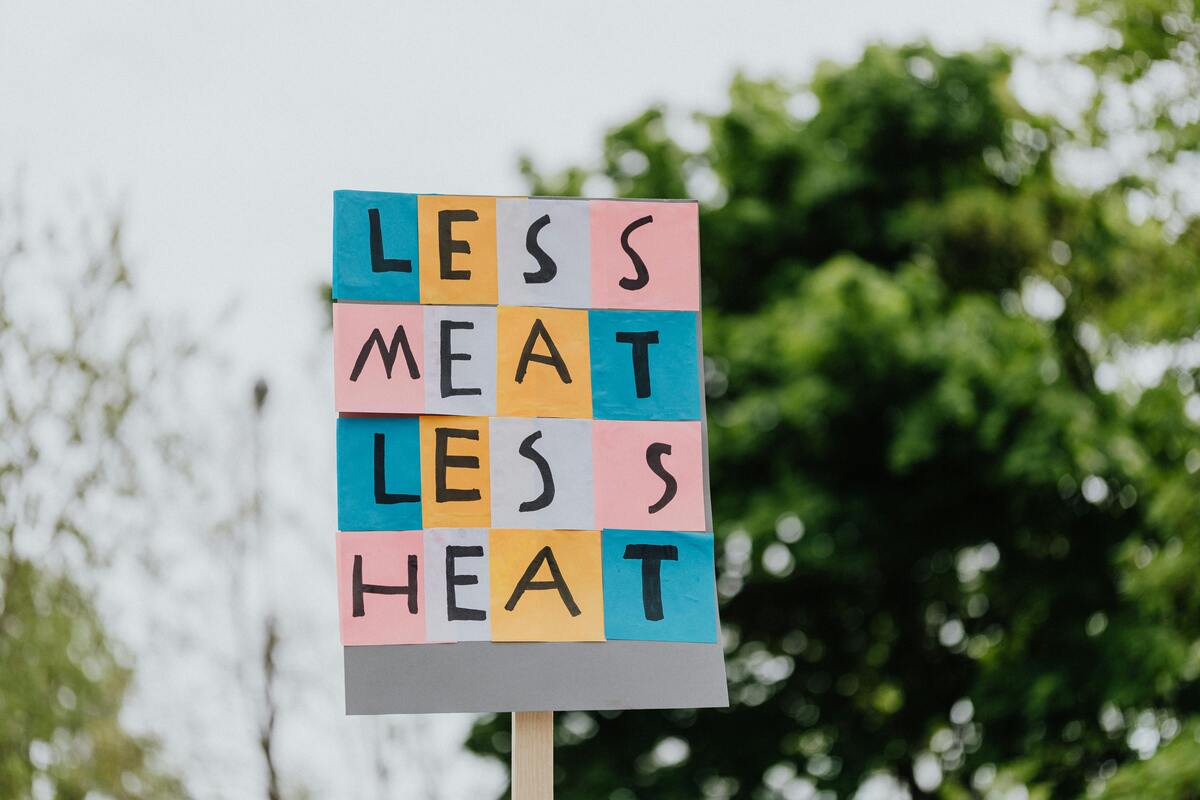 Il futuro della carne sostenibile: insetti, proteine vegetali e carne coltivata - immagine di copertina