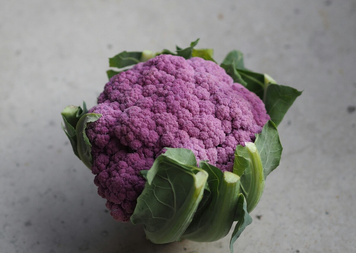Se pensavi che il cavolfiore fosse noioso, non hai mai visto quello viola: scopri di più su questa variante - immagine di copertina