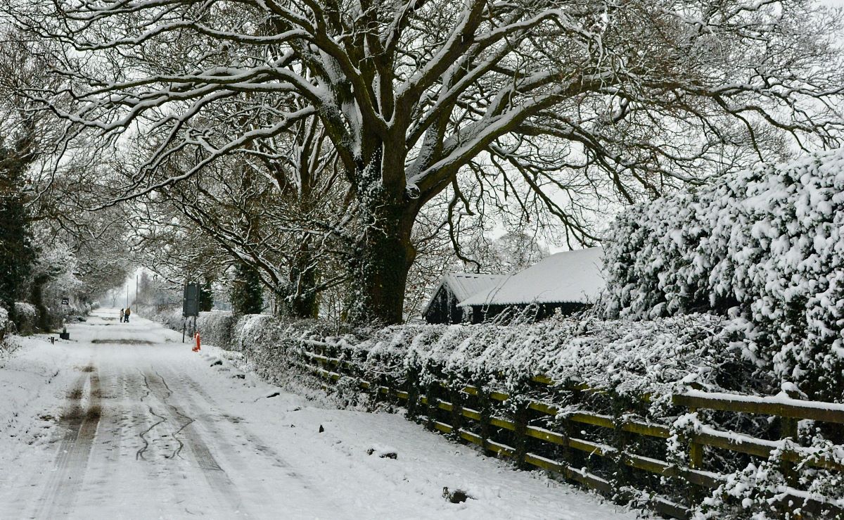 Italia sotto zero: neve, freddo e disagi dal Nord al Sud. Le previsioni per i prossimi giorni - immagine di copertina