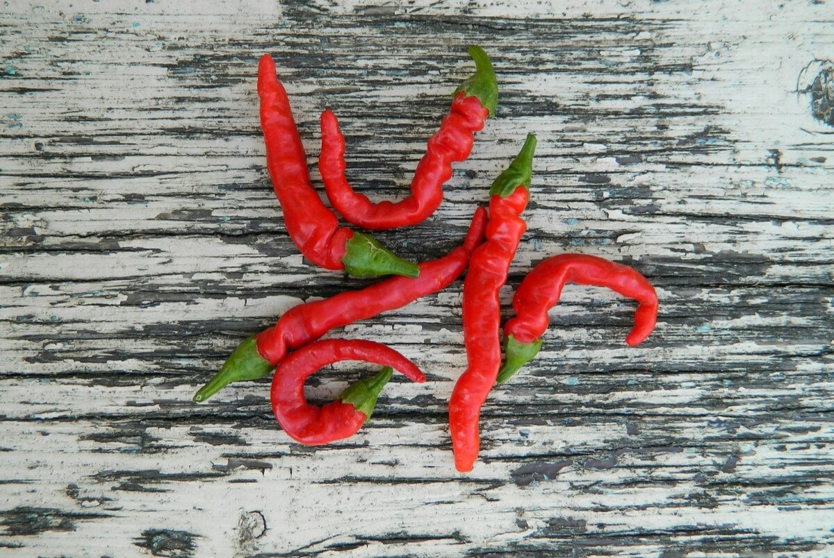 Tutto sul pepe di Cayenna: una guida per conoscere questa spezia piccante - immagine di copertina