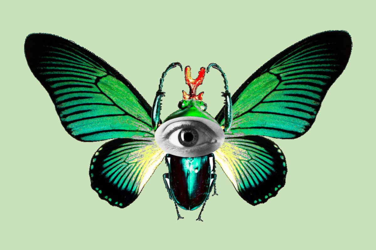 Elogio della diversità: a Roma una mostra per capire il futuro del Pianeta - immagine di copertina