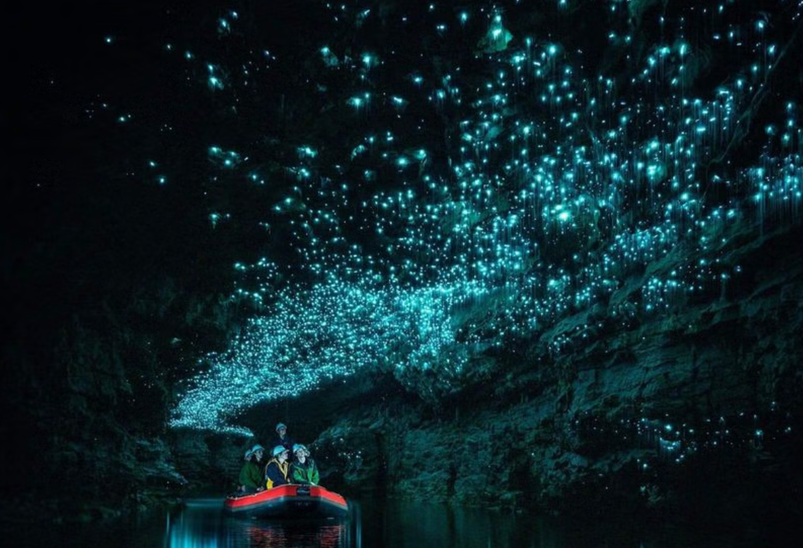 I luoghi più assurdi del mondo: le grotte di Waitomo - immagine di copertina