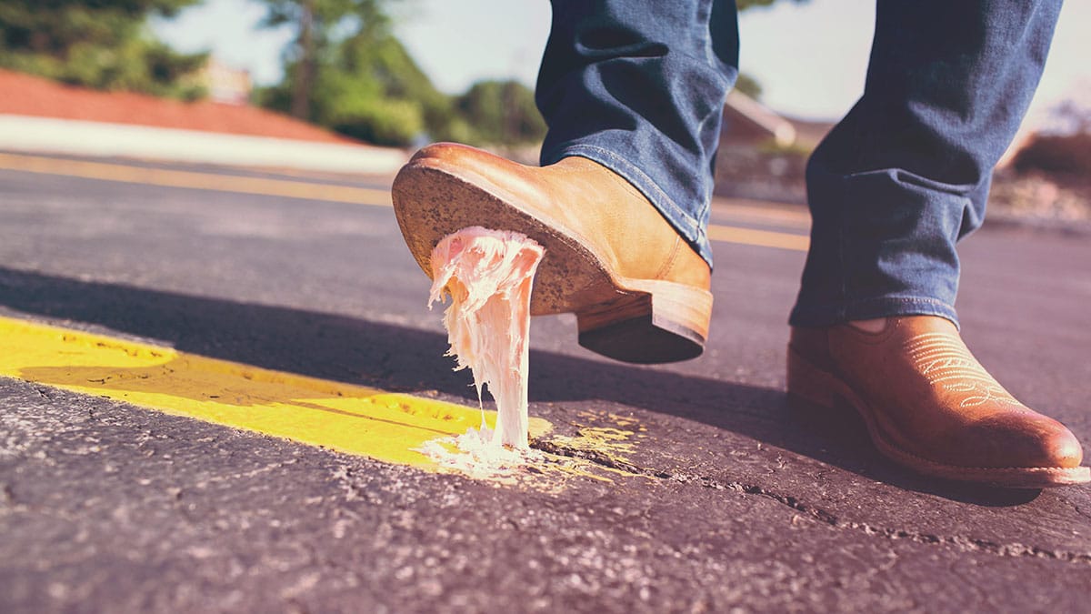 Perché le gomme da masticare sono vietate a Singapore - immagine di copertina