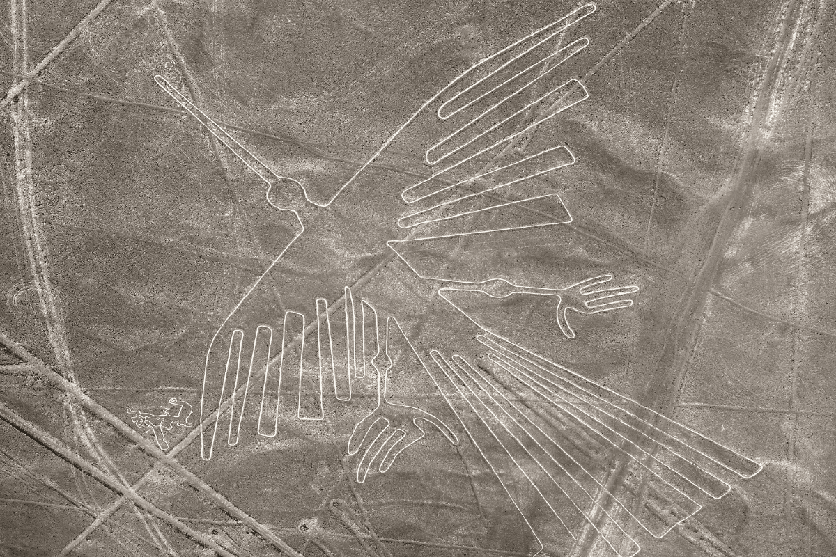I luoghi più assurdi del mondo: le Linee di Nazca - immagine di copertina