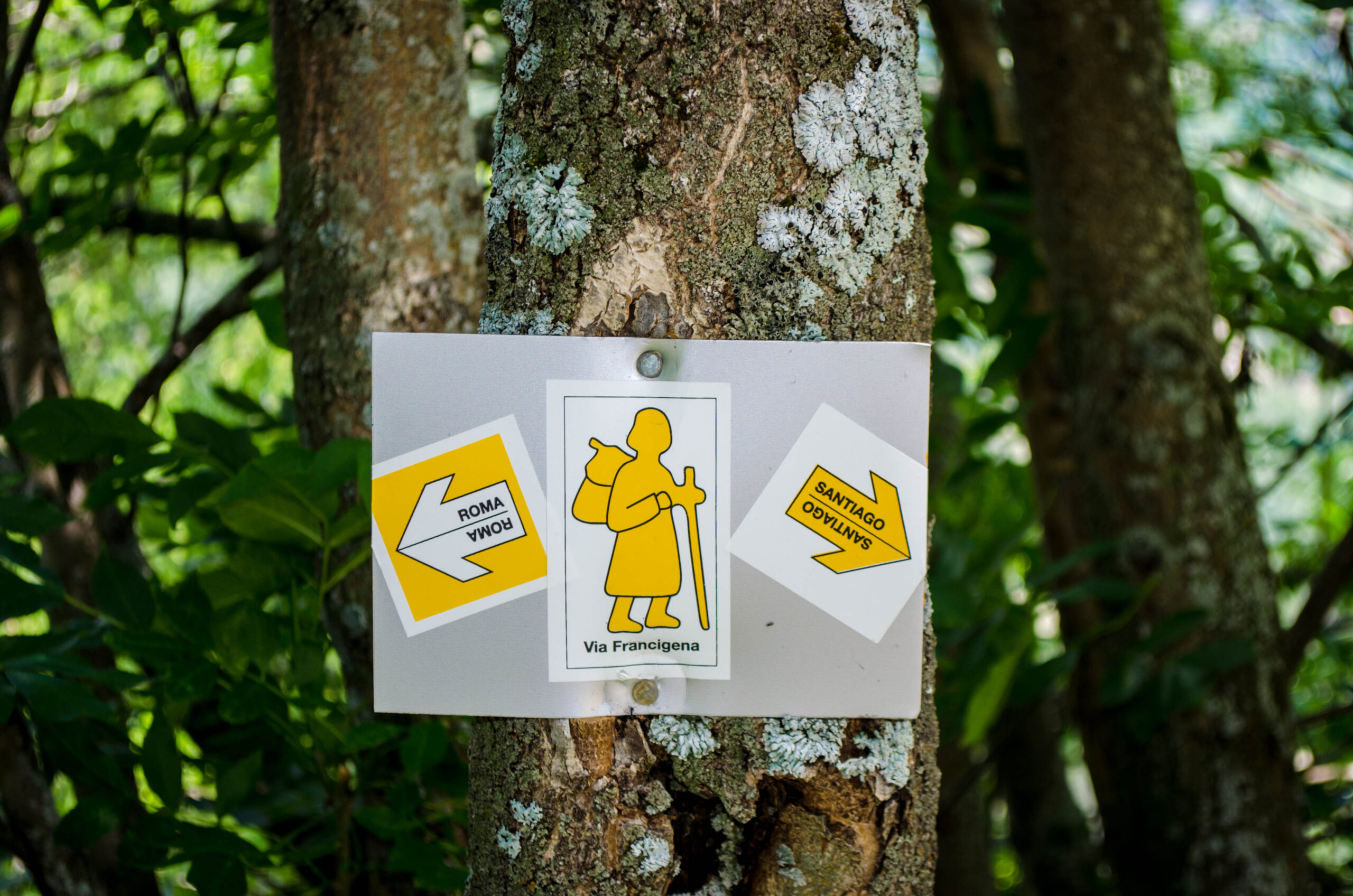 La Via Francigena: le tappe in Piemonte - immagine di copertina