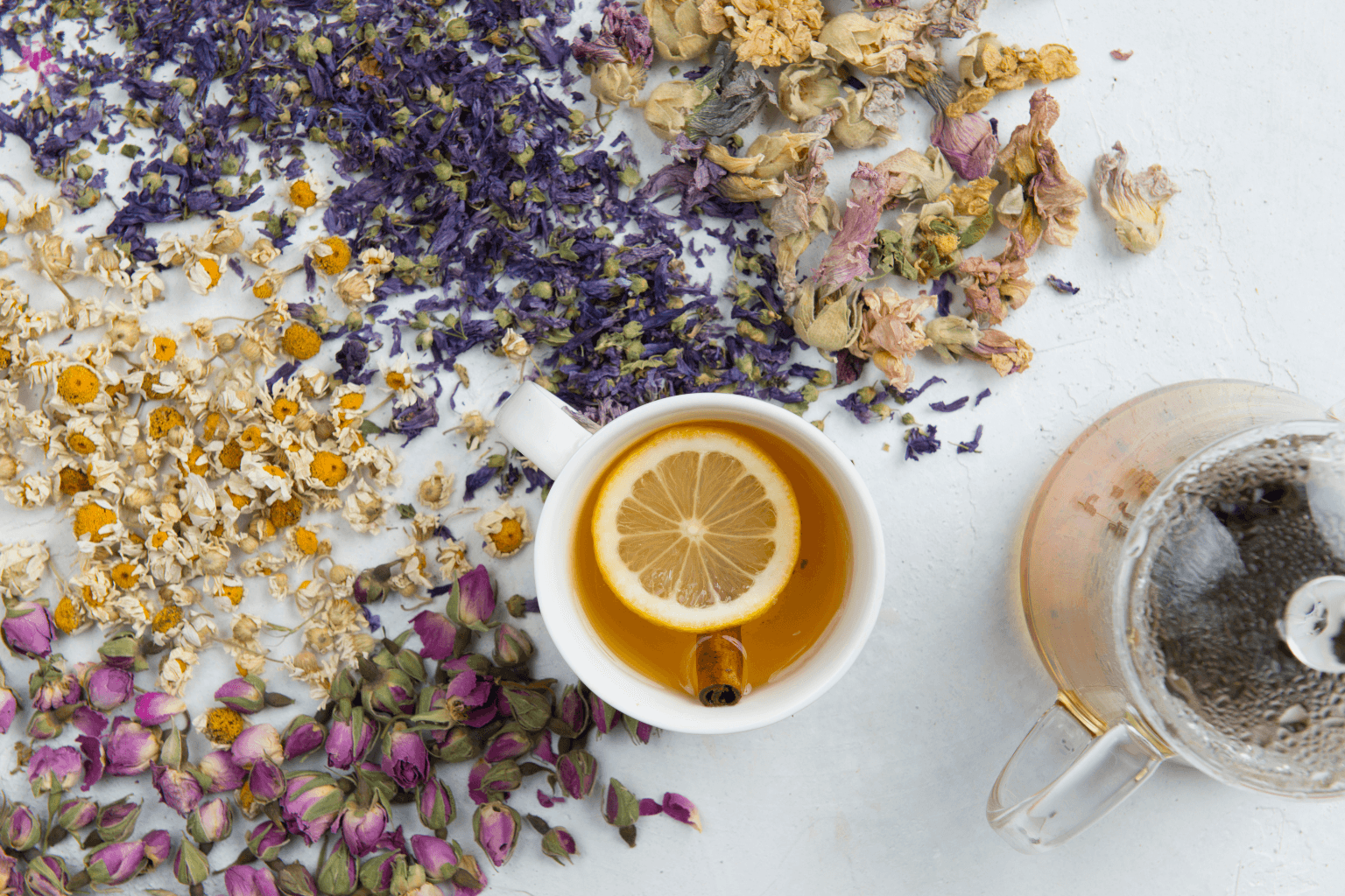 Tisane fredde per dormire: il rimedio naturale contro il caldo estivo - immagine di copertina