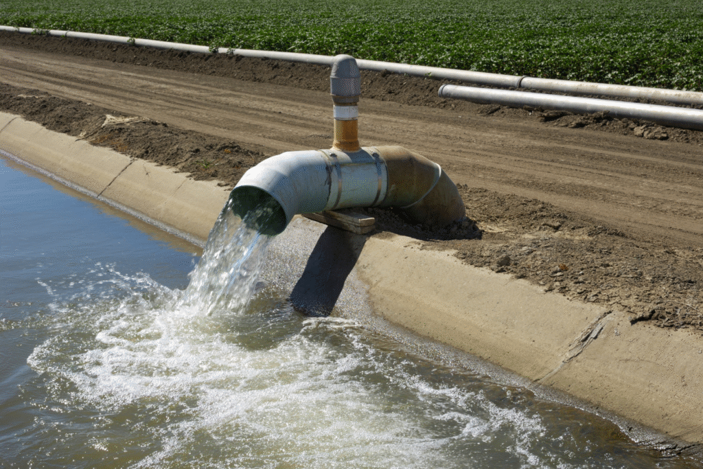 Etichetta dell'acqua