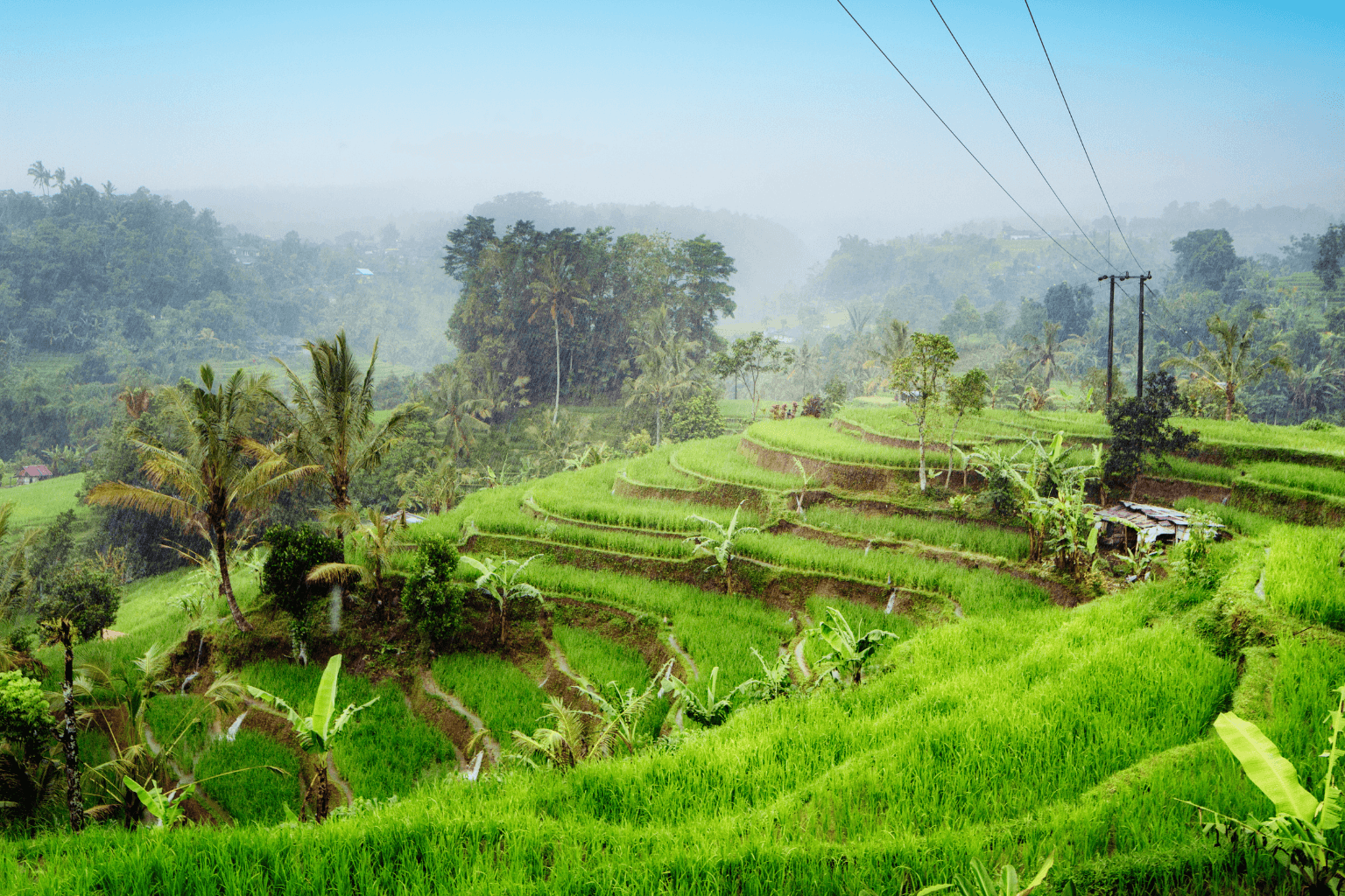 Subak: a Bali l’irrigazione delle risaie è un fatto sacro - immagine di copertina