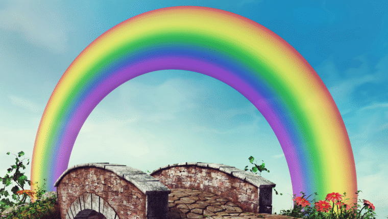 Il ponte arcobaleno: la leggenda che aiuta a superare la perdita dei nostri amici a quattro zampe - immagine di copertina