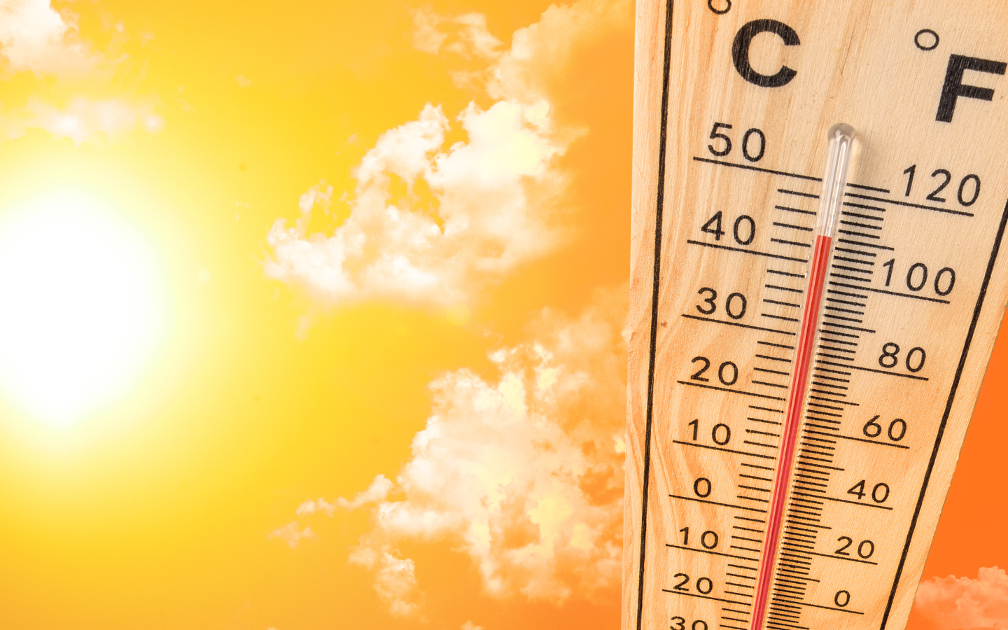 Caldo record in Italia: c'è l'ordinanza che vieta di lavorare sotto al sole - immagine di copertina