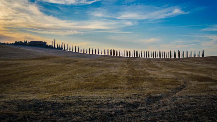 La Via Francigena: le altre tappe in Toscana - immagine di copertina