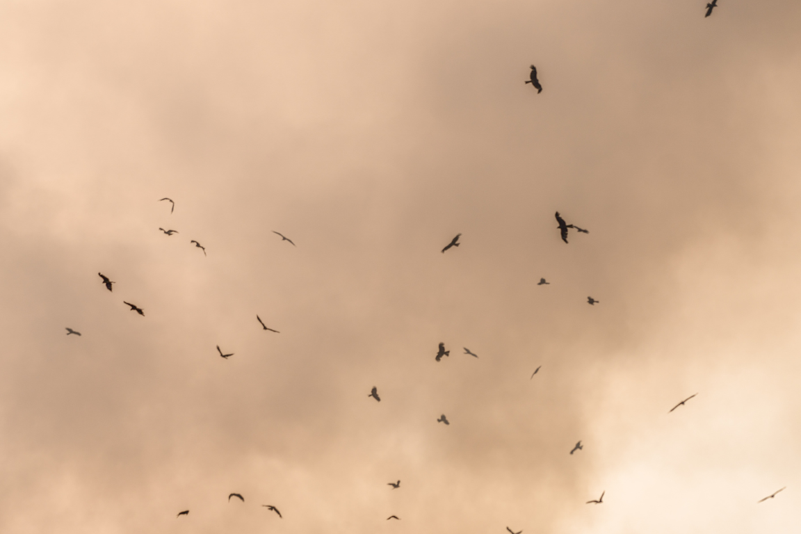 rischi sulla salute del caldo estremo