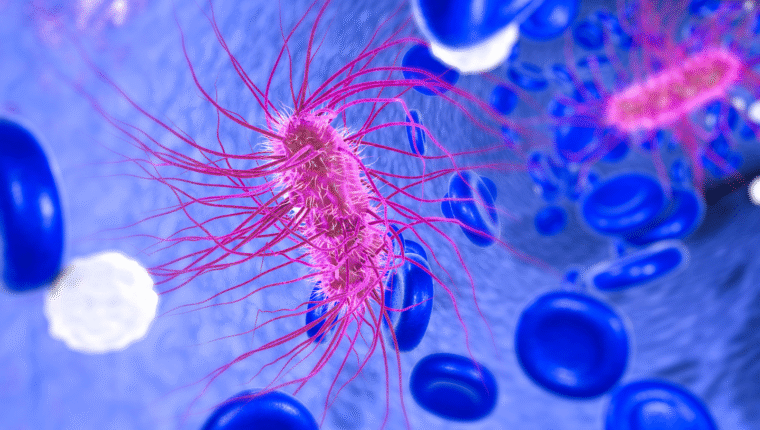 Escherichia coli: come difendersi dal batterio invisibile (ma tenace) - immagine di copertina