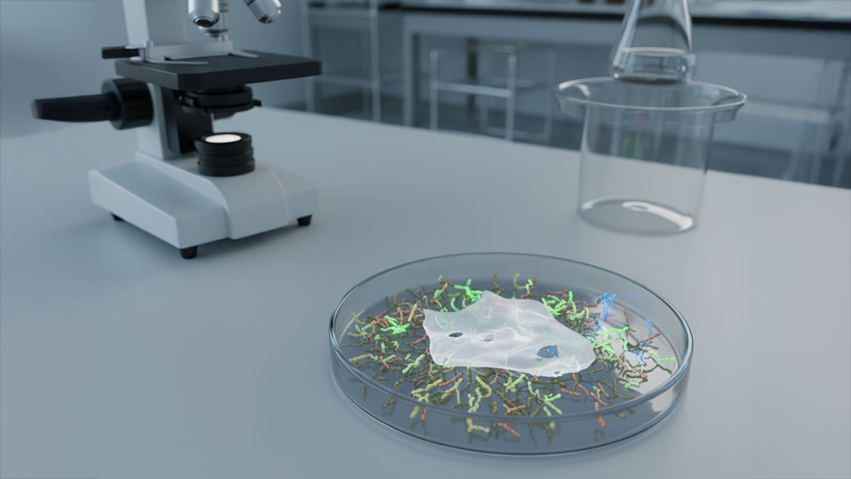 Batteri degradano la plastica