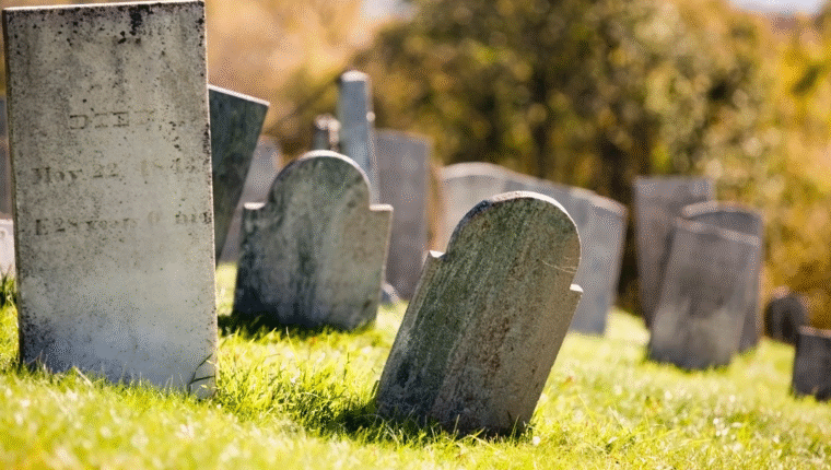 Vivere tra le tombe: la comunità segreta di Manila - immagine di copertina