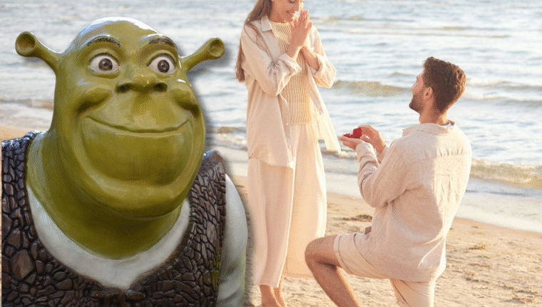 Shreking: ecco perché innamorarsi in downgrade - immagine di copertina