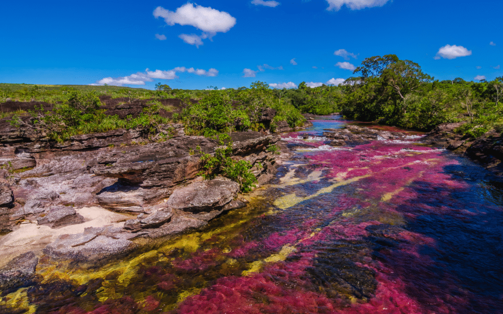 Caño Cristales