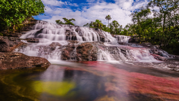 I luoghi più assurdi del mondo: Caño Cristales, in Colombia - immagine di copertina