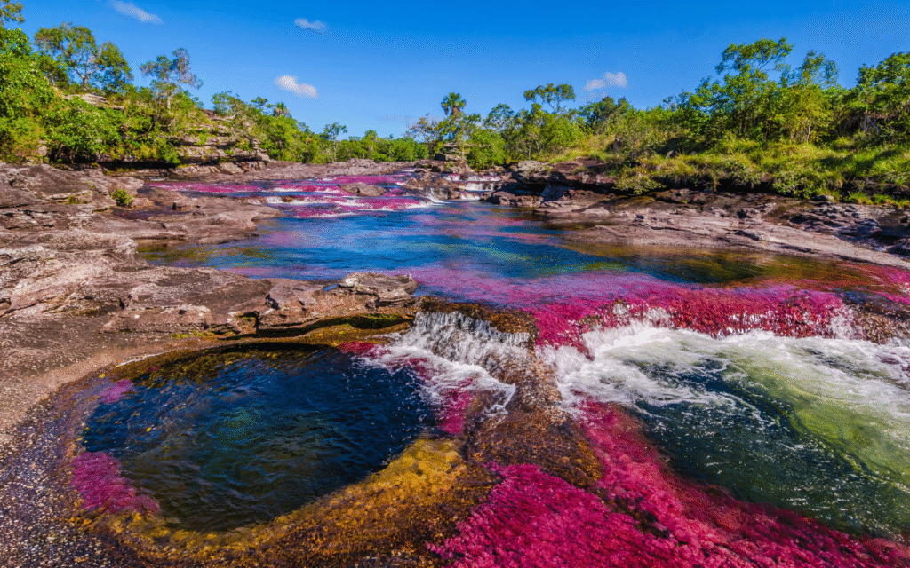 Caño Cristales