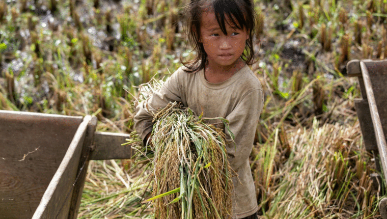 Schiavitù: i Paesi dove esiste ancora - immagine di copertina