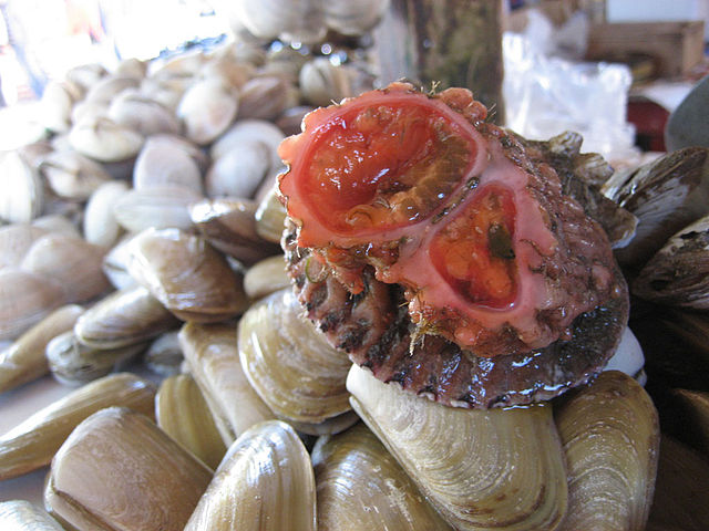Piure - frutti di mare strani