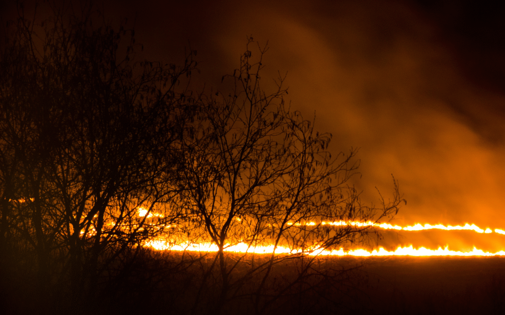 20 vergogne italia sostenibilità - sicilia