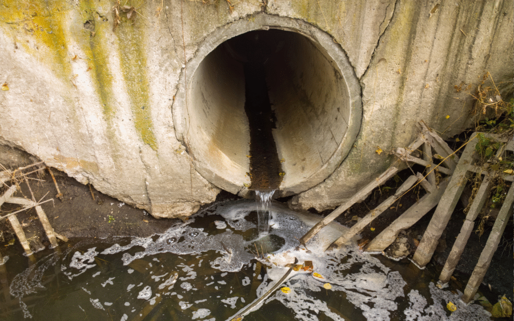 20 vergogne 20 regioni Italia - calabria