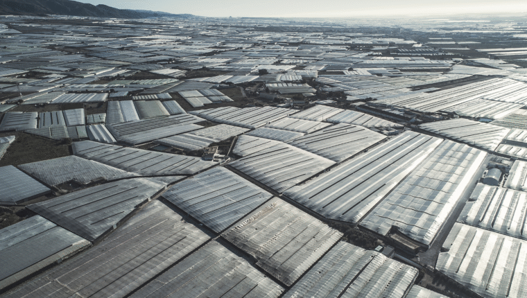 Almeria, il Mar de Plástico: come si è formata la più grande area serricola d’Europa - immagine di copertina
