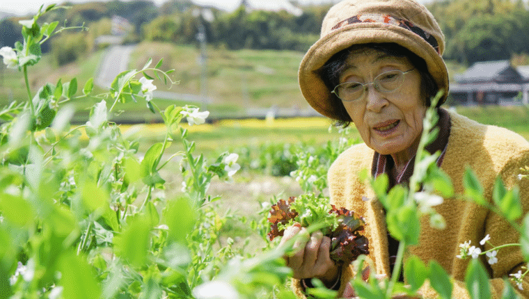 Le 7 regole per vivere fino a 140 anni secondo ChatGPT - immagine di copertina