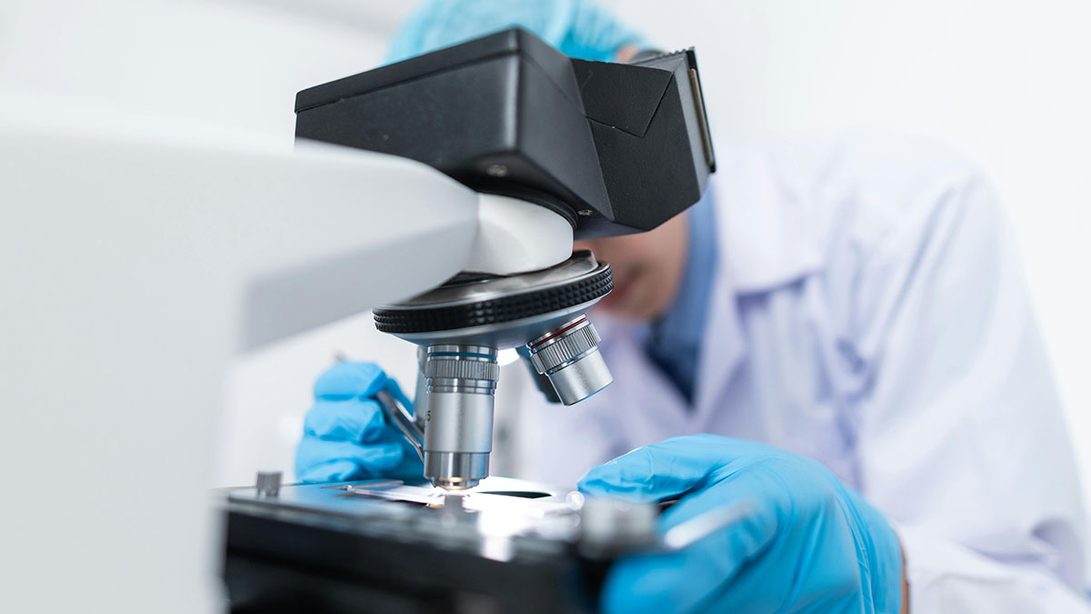 Zanzare OGM, analisi di laboratorio