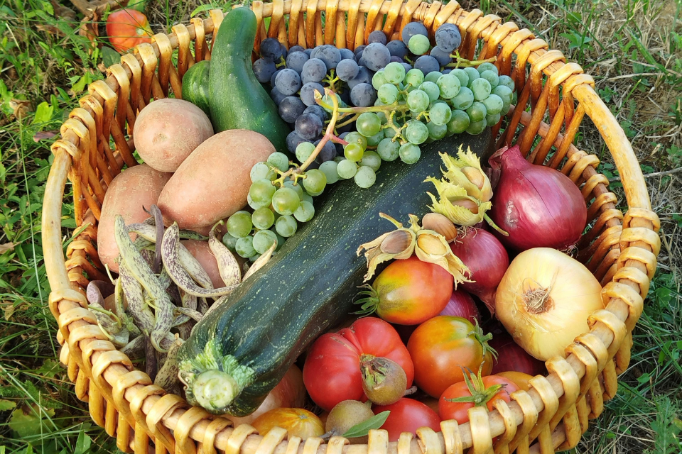 regali di natale sostenibili
