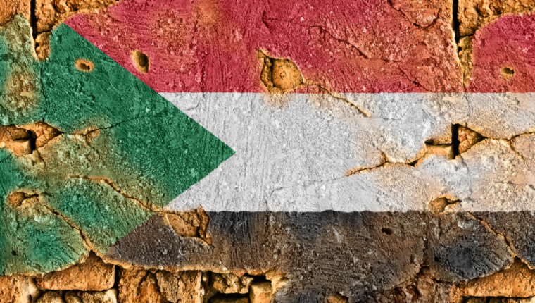 Crisi in Sudan: anatomia di una guerra ignorata - immagine di copertina