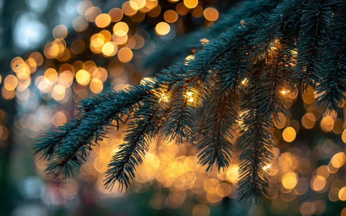 Decorazioni di Natale low impact: idee non convenzionali per essere più sostenibili