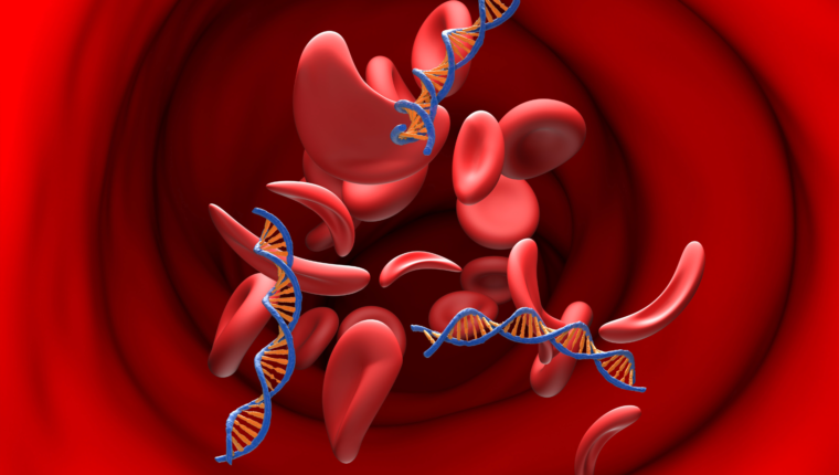 Autofagia: ecco perché il nostro corpo ricicla le cellule - immagine di copertina