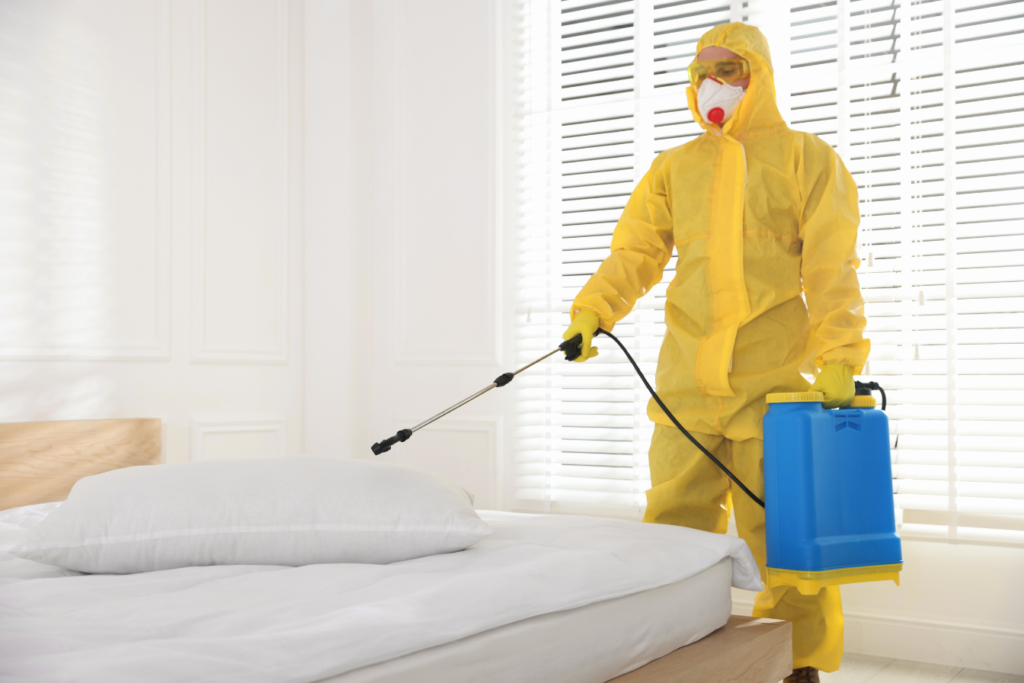 fare impresa senza sbattimento