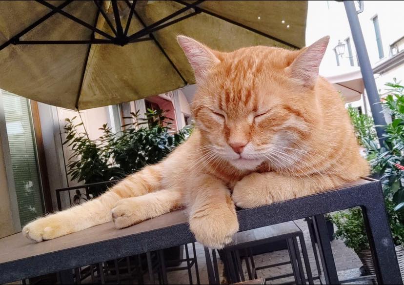Rossini