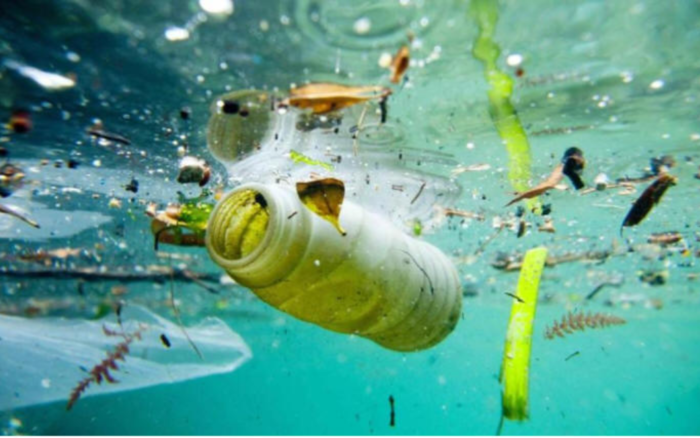 Mari più inquinati del mondo: classifica e cause dell’inquinamento marino