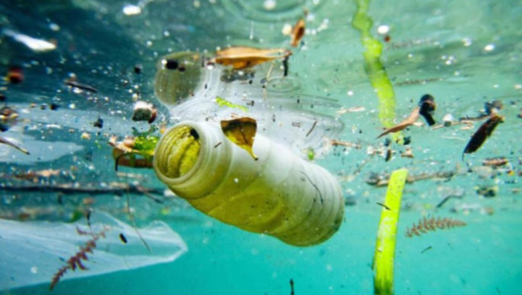 Mari più inquinati del mondo: classifica e cause dell’inquinamento marino - immagine di copertina