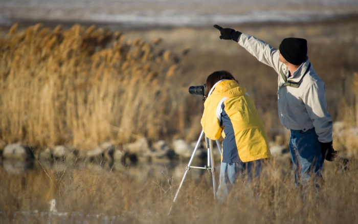 Birdwatching: perch&eacute; alcune persone lo praticano nelle discariche e in altri posti assurdi