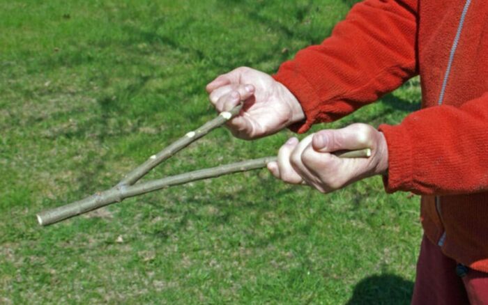 Rabdomante: chi è, cosa fa, esiste ancora?
