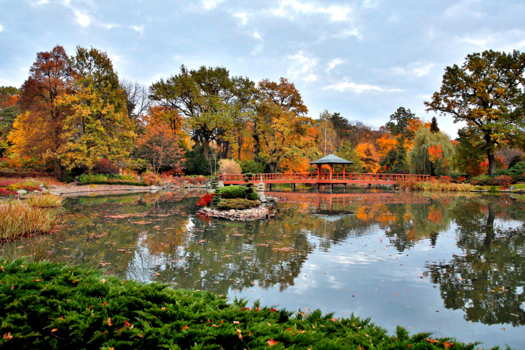 Giardino Giapponese Breslavia