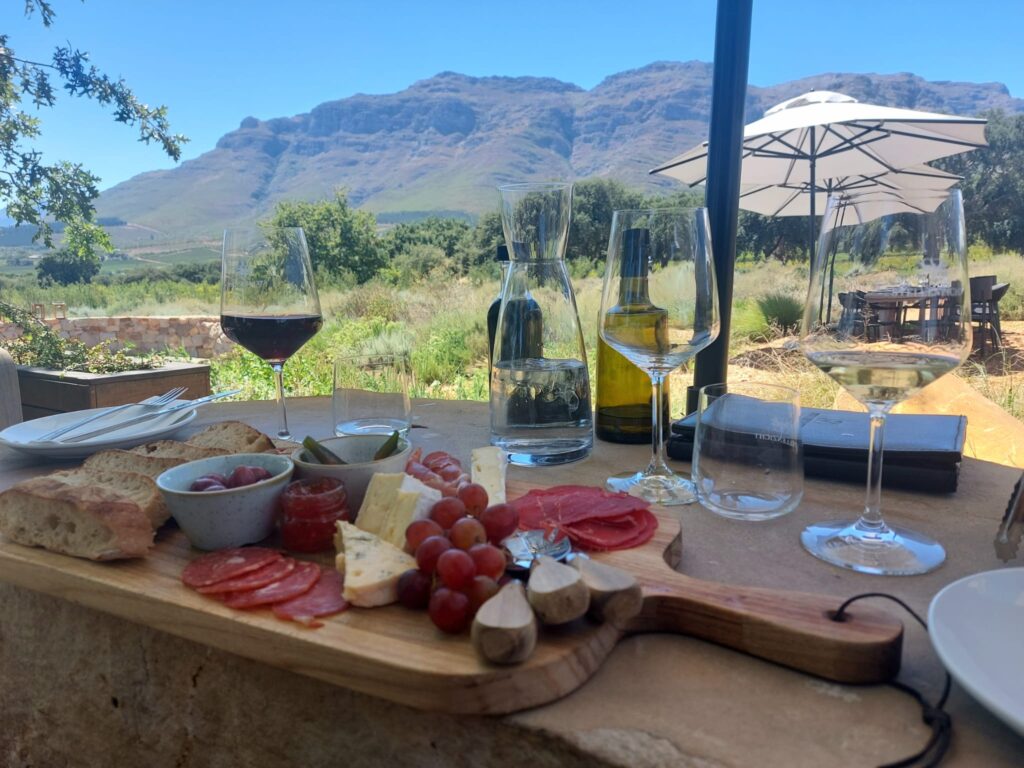 vino sudafrica