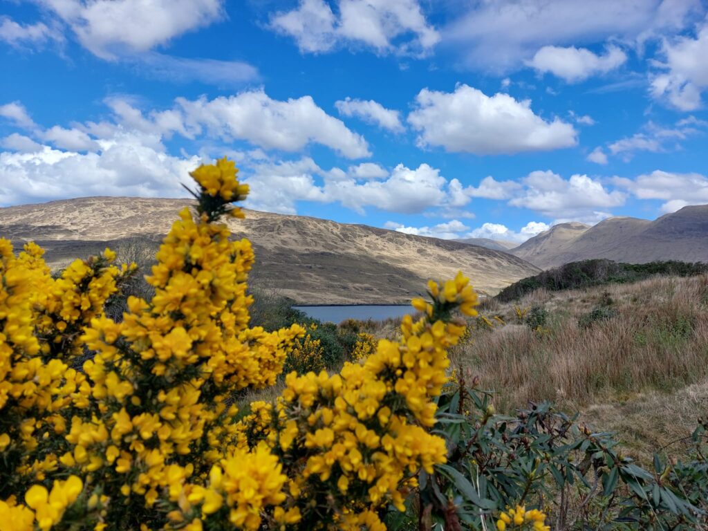 parco nazionale connemara